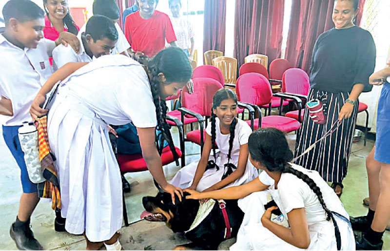 School Awareness Program