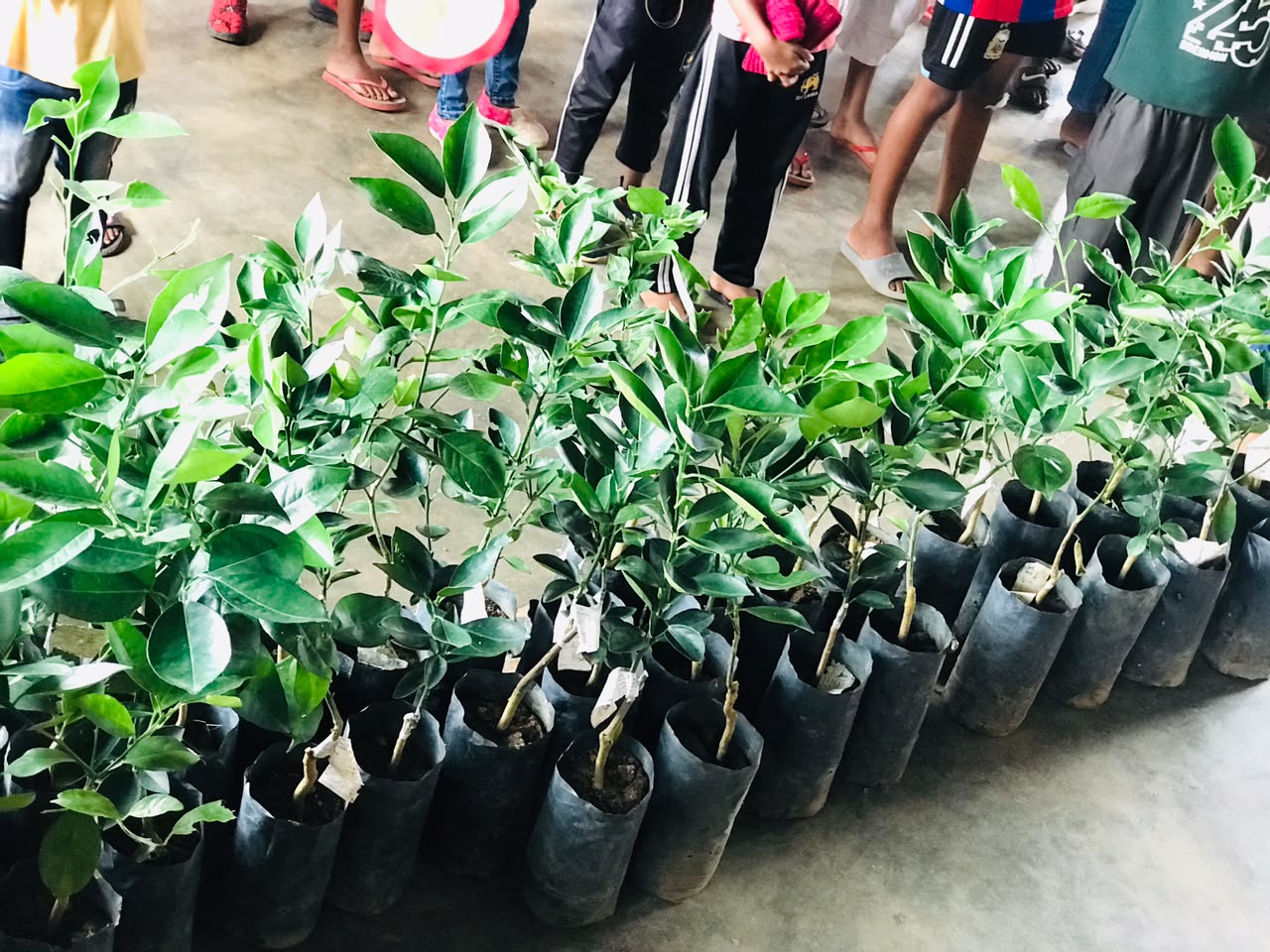 Agro Nature Events