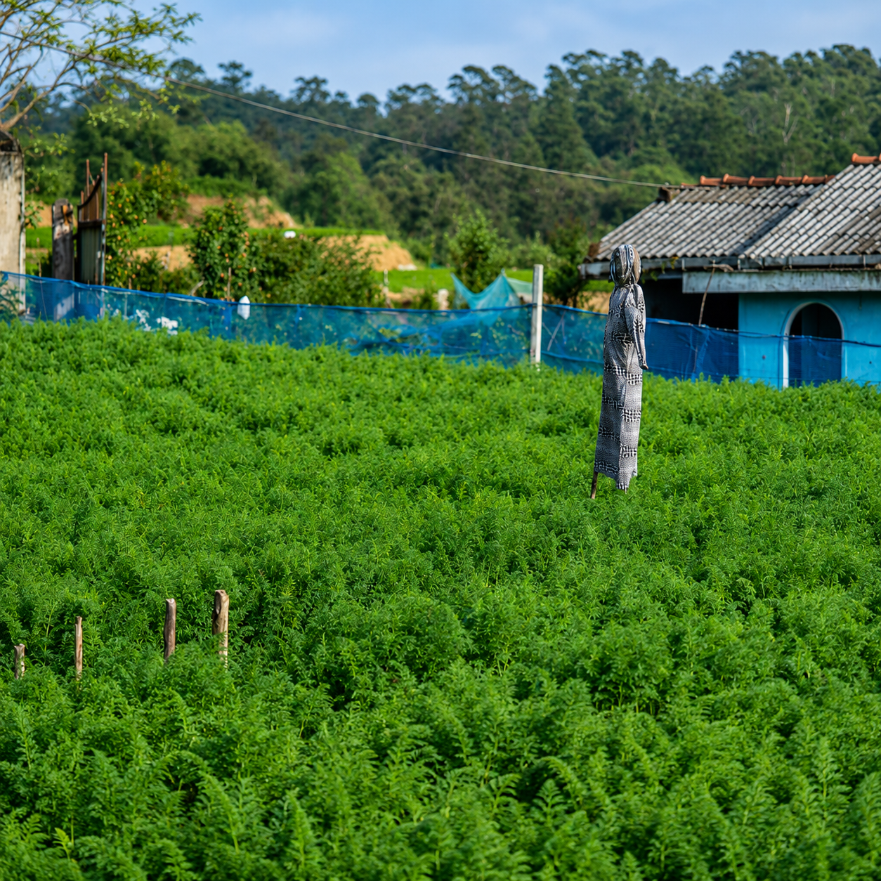 Agro Nature agricultural operations